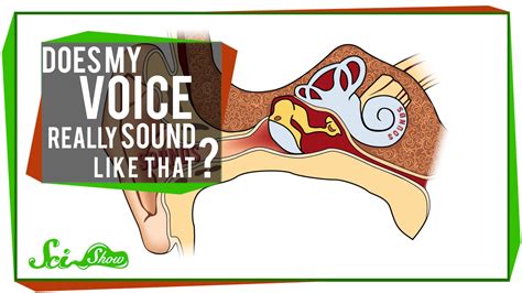 SciShow Explains Why Our Voices Sound Different To Us Than To Other People