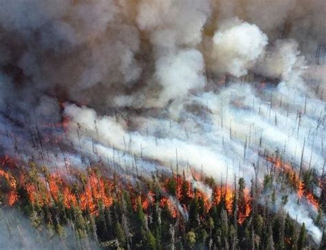 Arctic Wildfires Are Emitting 35 More Carbon Compared To 2019