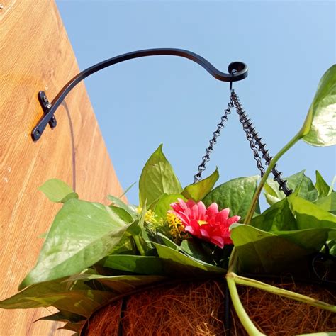 14inch Black Forged Metal Curved Hanging Plant Bracket Hookwall