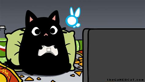 Download The Gamercat Gamer Cat Ics Animals Artwork By Mjones95