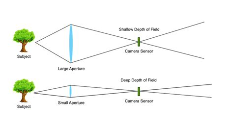 Aperture And Depth Of Field Fotovoyage