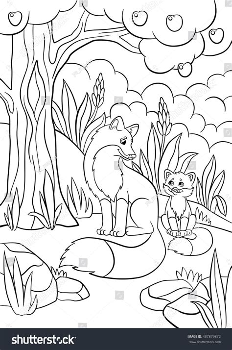 Coloring Pages Wild Animals Mother Fox With Her Little Cute Baby Fox