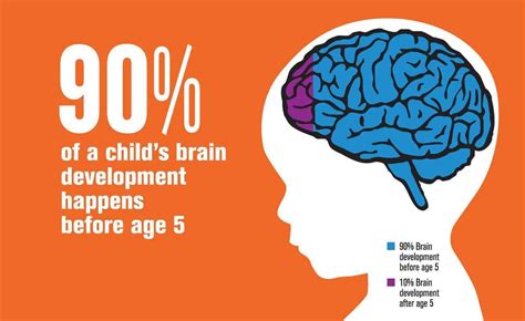 Brain Development in Children - 12 Sensitive Periods You Must Not Miss