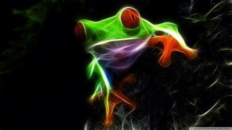 49 Hd Frog Wallpaper Wallpapersafari