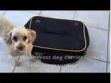 Photos of Airline Dog Carrier
