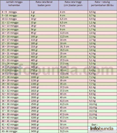 Semasa sembilan bulan yang indah ini, seorang wanita hamil mengalami banyak emosi dan sensasi baru yang akan diingati sepanjang hayatnya. Tinggi Fundus Normal Usia 37 Minggu - Bali