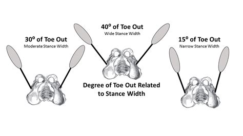 Foot Placement For Squats Turn Your Feet Out For A Bigger Squat