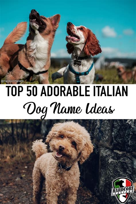 Top 50 Most Adorable Italian Dog Names Youll Love Italian Dogs Dog