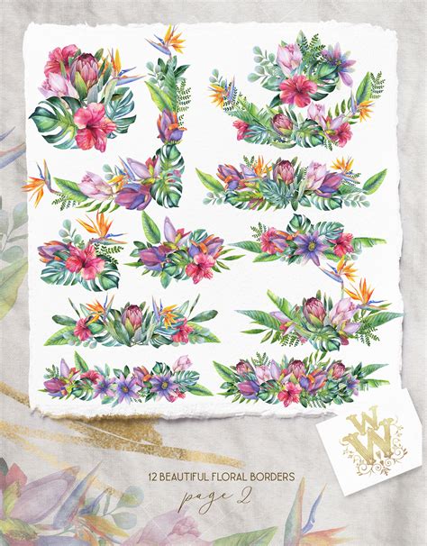 Watercolor Tropical Clip Art Floral Border Clipart