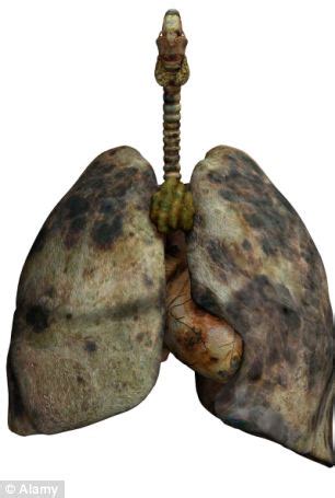 Photos Of Lungs After Smoking