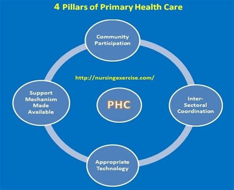 Four Major Pillars Of Primary Health Care System Phc