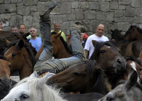 Kenapa kuda kawin harus di bantu manusia ? Video Kuda Kawin Dengan Manusia | carfare.me 2019-2020