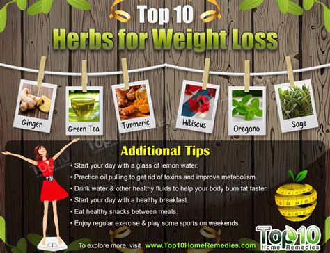 top 10 herbs for weight loss top 10 home remedies