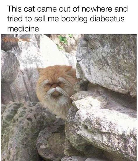 Wilford Brimley Diabetes Diabeetus Diabeteswalls