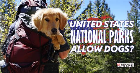 Are Dogs Allowed In Us National Parks