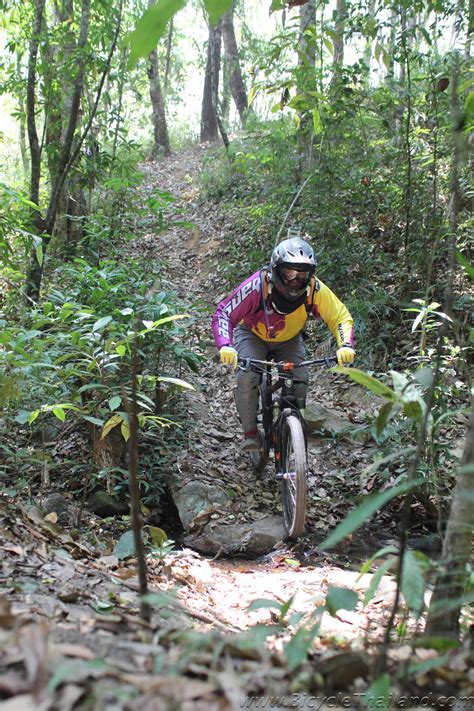 Animal crossing new horizons time skip guide. Doi Suthep - Chiang Mai Downhill Mountain Bike Singletrack Trail - 'Bamboo Trail' - Bicycle Thailand