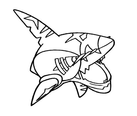 Printable Sharpedo Coloring Pages Pdf In 2022 Cartoon Coloring Pages
