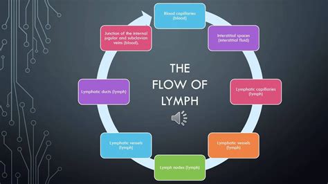 At the 46th grammy… read more The lymphatic system - Flow of lymph - YouTube