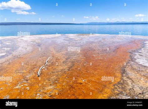 West Thumb Geyser Basin Looking Out To Lake Yellowstone Stock Photo Alamy
