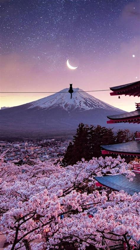 Cool Japan Wallpapers Top Free Cool Japan Backgrounds Wallpaperaccess