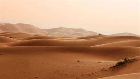 How Do Deserts Form Heres A Full Explanation Nayturr