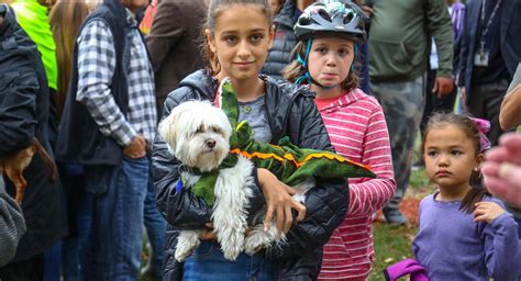 La vie petunia, oh mon dieu! Photos: Dozens Of Very Good Dogs (And A Few Cats, Plus One Chicken) Get Blessed At St. John The ...