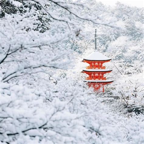 Rare Heavy Snowfall Turns Kyoto Into Winter Wonderland