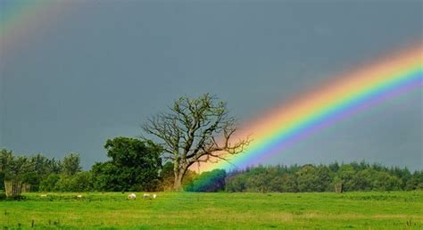 What Are The Different Types Of Rainbows Science Online