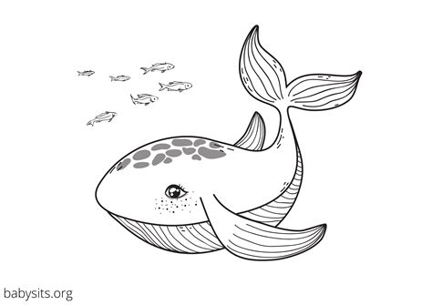 Free Printable Colouring Pages Of Sea Animals