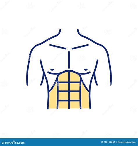 Abdominal Muscles Rgb Color Icon Stock Vector Illustration Of Tummy