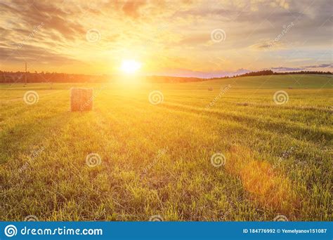 Field With A Haystacks On Sunset Or Sunrise Stock Photo Image Of