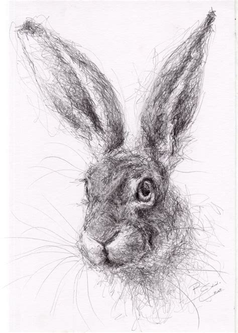 New Stock Original A4 Wildlife Drawing Of A Hare Animal Art By