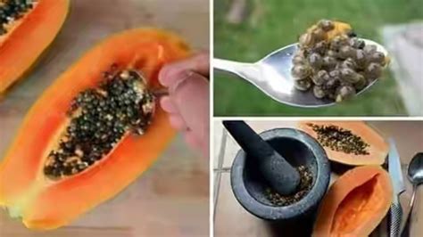 The 35 Secret Health Benefits Of Pawpaw Seeds And Its Side Effects