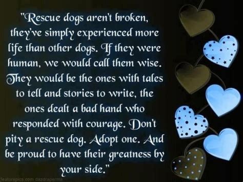 Rescue Rescue Dog Quotes Rescue Dogs Dog Quotes