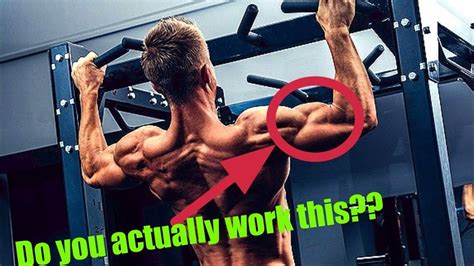 Wide Grip Pull Ups Do They Build Your Biceps Youtube