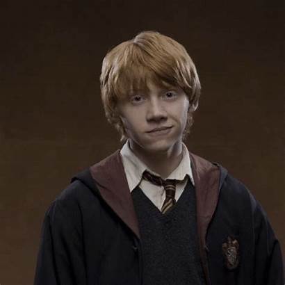 Weasley Ronald Potter Harry Bilius Leviosa Wingardium