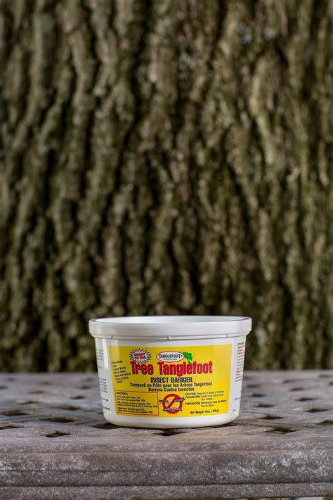 Tanglefoot Bundle 2 Products Tree Insect Barrier Tub 8 Ounce Tangle