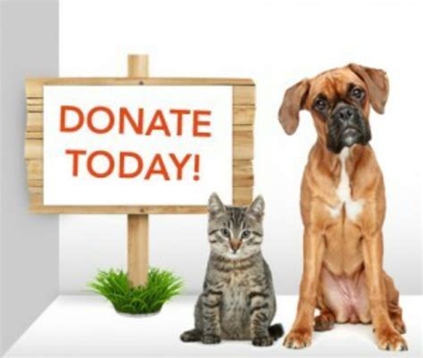 Dont Forget To Donate To Our Silver Sands Pet Food Bank That Is