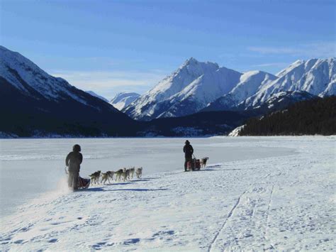Yukon Winter Adventure Toursklondikecanadaboreal Kennels