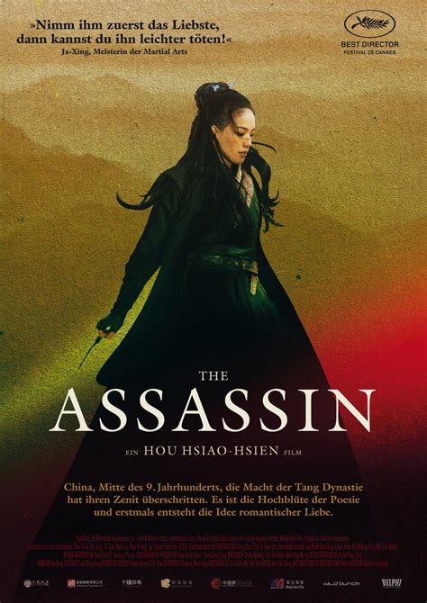 The Assassin Dvd Oder Blu Ray Leihen Videobusterde