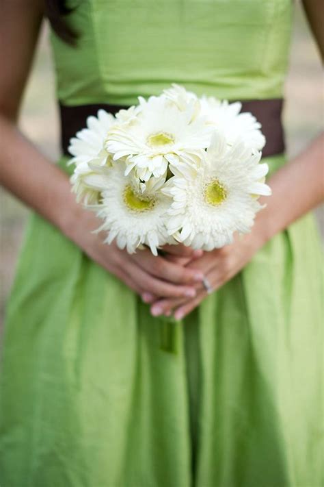 Do gerber daisies come back each year? Bridesmaids Bouquet Gerber Daisies | Wedding | Pinterest ...
