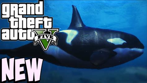 Gta 5 How To Find Whales And Killer Whales Youtube