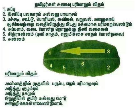 குழந்தைகள் உணவில் கட்டாயம் இடம் பெற வேண்டிய 5 பொருட்கள்? Photo - Google Photos | Tamil language, General knowledge ...