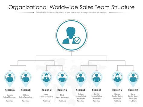 Organizational Worldwide Sales Team Structure Presentation Graphics