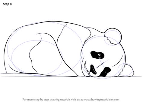 Learn How To Draw A Cute Panda Wild Animals Step By Step