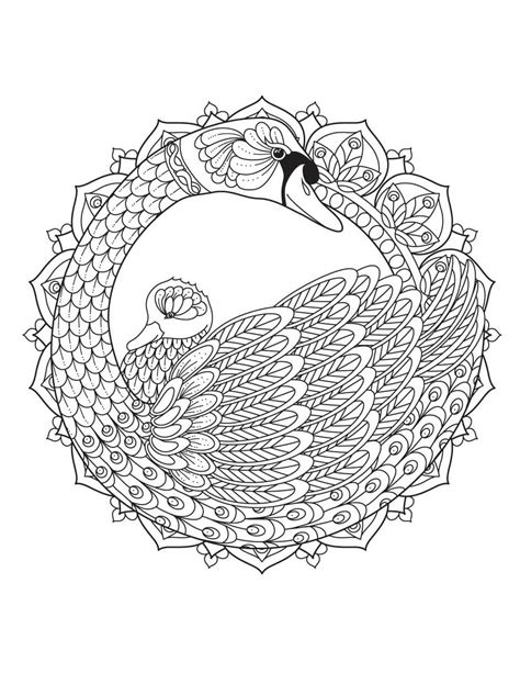 Mandala Two Swans Coloring Page Download Print Now