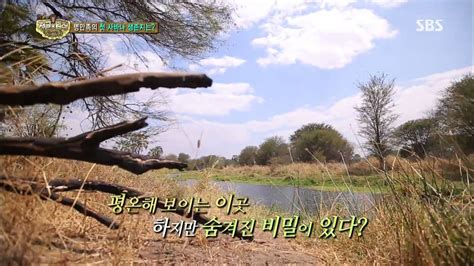 Law of the jungle family outing! 정글의법칙 The law of the Jungle 131011 #2(4) - YouTube