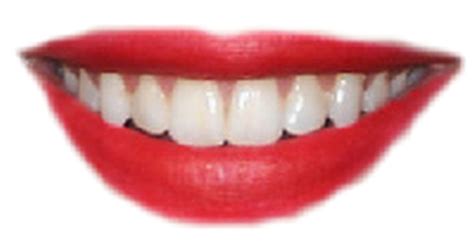 Smile Mouth Png Transparent Image Download Size 500x265px