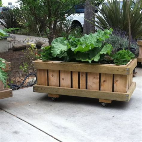 A raised garden bed (or simply raised bed) is a freestanding box or frame—traditionally with no bottom or top—that sits aboveground in a sunny raised beds are usually open on the bottom so that the plant roots can access soil nutrients below ground level. Rhubarb and Strawberries- Rolling Planter: SanctuSpheres rolling raised bed flower / vegetable ...