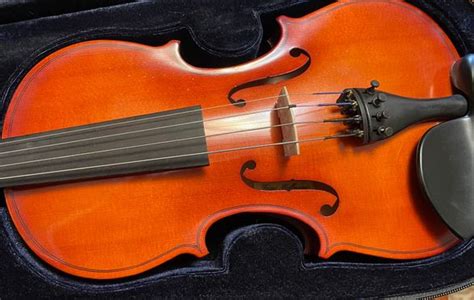 Learn To Play Viola Small Online Class For Ages 6 11